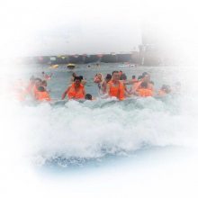 【河南專業(yè)人工造浪設(shè)備、人工造浪池 、造浪機(jī)設(shè)備圖片】河南專業(yè)人工造浪設(shè)備、人工造浪池 、造浪機(jī)設(shè)備圖片大全