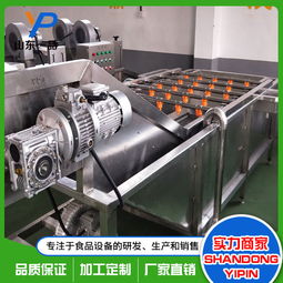 水蜜桃氣泡噴淋清洗機批發(fā)價格